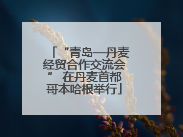 “青岛—丹麦经贸合作交流会” 在丹麦首都哥本哈根举行