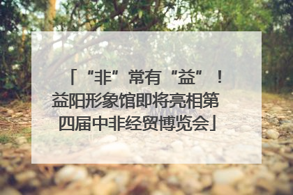 “非”常有“益”！益阳形象馆即将亮相第四届中非经贸博览会