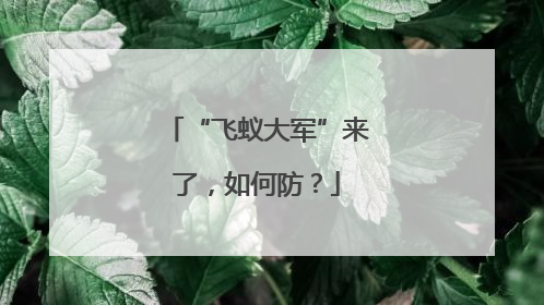 “飞蚁大军”来了，如何防？
