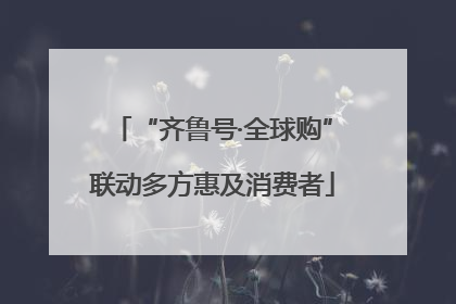“齐鲁号·全球购”联动多方惠及消费者