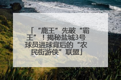 “鹿王”先破“霸王”！揭秘盐城3号球员进球背后的“农民街游侠”联盟