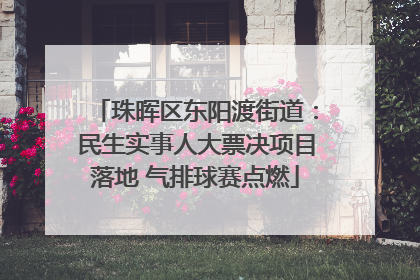 珠晖区东阳渡街道：民生实事人大票决项目落地 气排球赛点燃