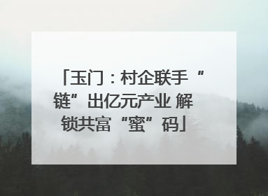 玉门：村企联手“链”出亿元产业 解锁共富“蜜”码