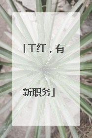 王红，有新职务