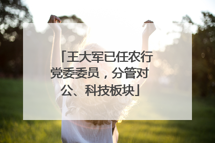 王大军已任农行党委委员，分管对公、科技板块