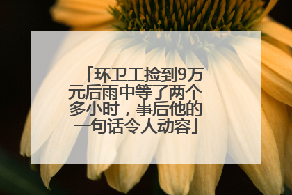 环卫工捡到9万元后雨中等了两个多小时，事后他的一句话令人动容