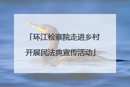 环江检察院走进乡村开展民法典宣传活动