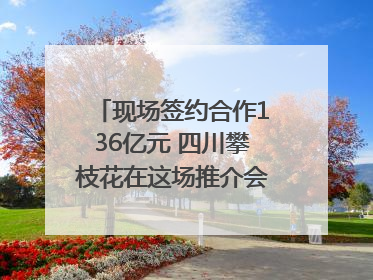 现场签约合作136亿元 四川攀枝花在这场推介会上画“图谱”列“清单”