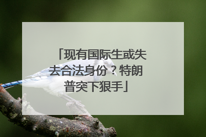 现有国际生或失去合法身份？特朗普突下狠手