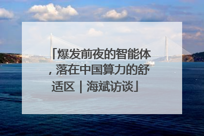 爆发前夜的智能体，落在中国算力的舒适区｜海斌访谈