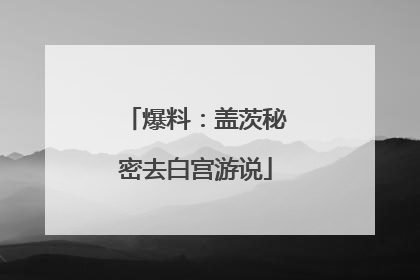 爆料：盖茨秘密去白宫游说