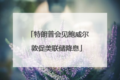 特朗普会见鲍威尔 敦促美联储降息