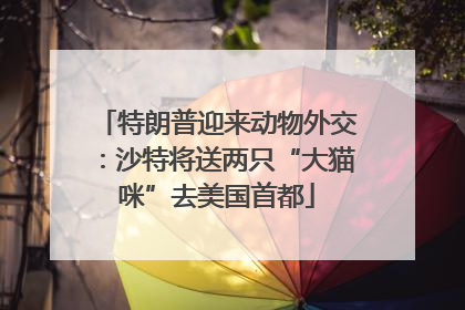 特朗普迎来动物外交：沙特将送两只“大猫咪”去美国首都