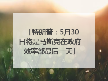 特朗普：5月30日将是马斯克在政府效率部最后一天