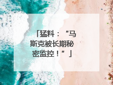 猛料：“马斯克被长期秘密监控！”