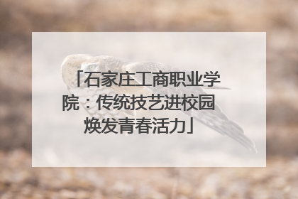 石家庄工商职业学院：传统技艺进校园焕发青春活力