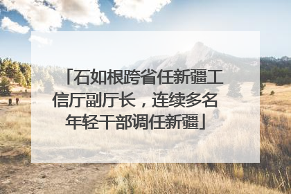 石如根跨省任新疆工信厅副厅长，连续多名年轻干部调任新疆