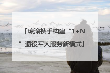 琼渝携手构建“1+N”退役军人服务新模式