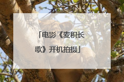电影《麦积长歌》开机拍摄