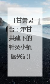 甘肃灵台：津甘共建下的针灸小镇振兴记