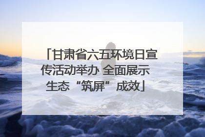 甘肃省六五环境日宣传活动举办 全面展示生态“筑屏”成效