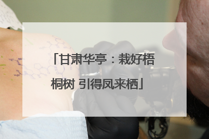 甘肃华亭：栽好梧桐树 引得凤来栖