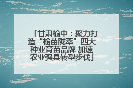 甘肃榆中：聚力打造“榆苗陇萃”四大种业育苗品牌 加速农业强县转型步伐