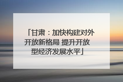 甘肃：加快构建对外开放新格局 提升开放型经济发展水平