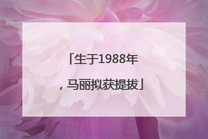 生于1988年，马丽拟获提拔