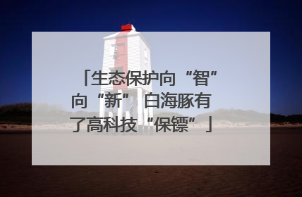 生态保护向“智”向“新” 白海豚有了高科技“保镖”