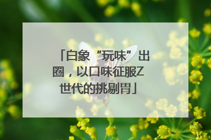 白象“玩味”出圈，以口味征服Z世代的挑剔胃