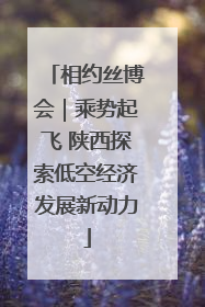 相约丝博会｜乘势起飞 陕西探索低空经济发展新动力
