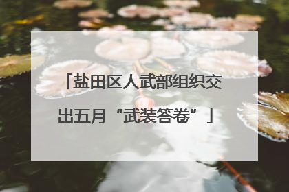 盐田区人武部组织交出五月“武装答卷”