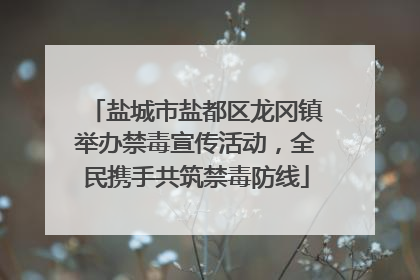 盐城市盐都区龙冈镇举办禁毒宣传活动，全民携手共筑禁毒防线