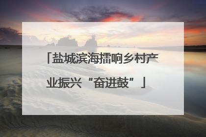 盐城滨海擂响乡村产业振兴“奋进鼓”