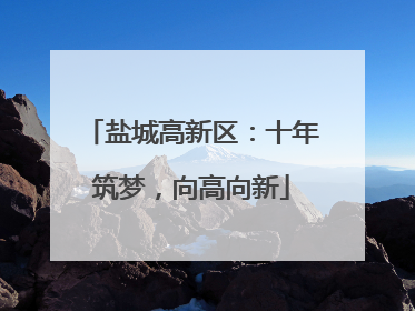 盐城高新区：十年筑梦，向高向新