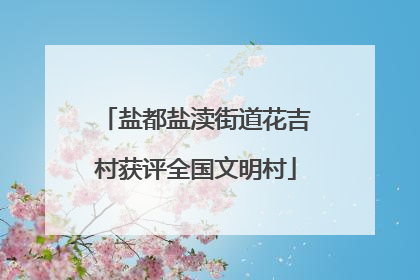 盐都盐渎街道花吉村获评全国文明村