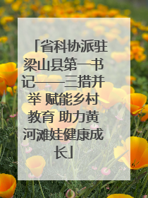 省科协派驻梁山县第一书记——三措并举 赋能乡村教育 助力黄河滩娃健康成长