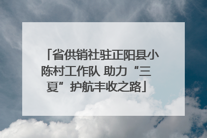 省供销社驻正阳县小陈村工作队 助力“三夏”护航丰收之路