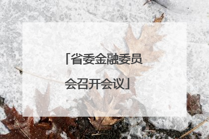 省委金融委员会召开会议
