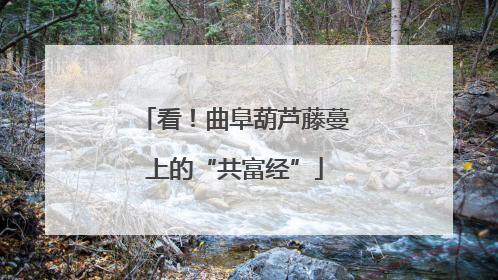 看！曲阜葫芦藤蔓上的“共富经”