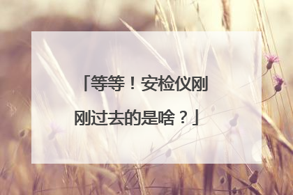 等等！安检仪刚刚过去的是啥？