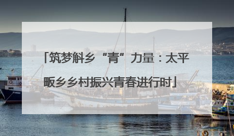 筑梦斛乡“青”力量：太平畈乡乡村振兴青春进行时