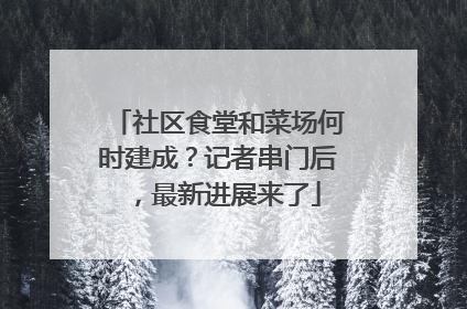 社区食堂和菜场何时建成？记者串门后，最新进展来了