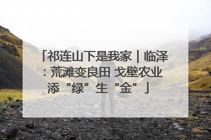 祁连山下是我家｜临泽：荒滩变良田 戈壁农业添“绿”生“金”