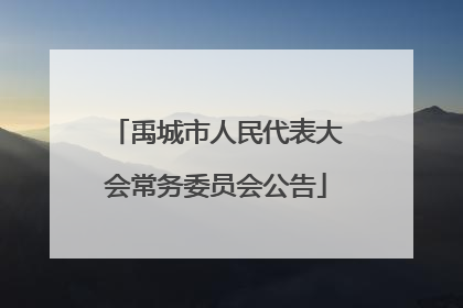 禹城市人民代表大会常务委员会公告