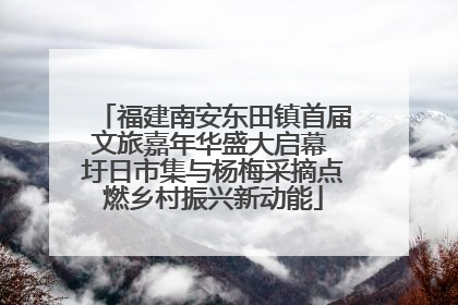 福建南安东田镇首届文旅嘉年华盛大启幕 圩日市集与杨梅采摘点燃乡村振兴新动能