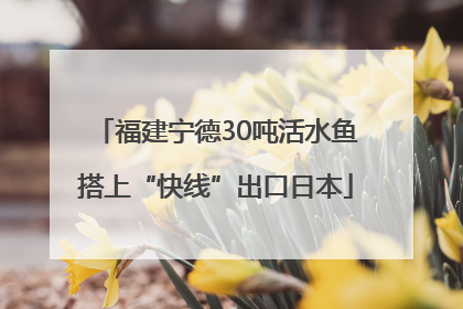 福建宁德30吨活水鱼搭上“快线”出口日本