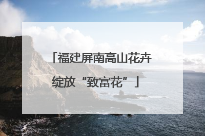 福建屏南高山花卉绽放“致富花”