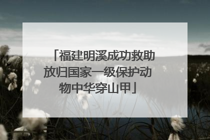 福建明溪成功救助放归国家一级保护动物中华穿山甲